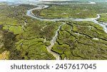Salt Marsh intricacies through sea erosion