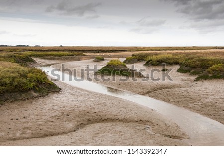 Similar – Image, Stock Photo Salt marsh on the North Sea.