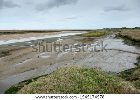 Similar – Image, Stock Photo Salt marsh on the North Sea.