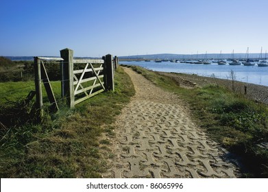 Salt Marsh, Marshes, Marshland, The Hampshire Coast ,sand Spit ,hurst Spit .salt Marshes Keyhaven