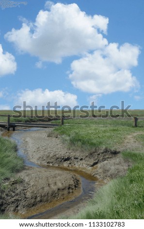 Similar – Image, Stock Photo Salt marsh on the North Sea.