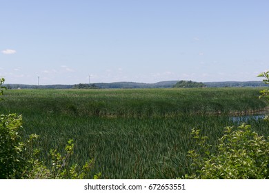 Salt Marsh, Parker River National Wildlife Refuge In Newburyport, MA