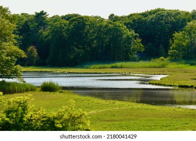 Salt Marsh In Rye New Hampshire