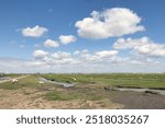 Salt marsh with sheep in Dutch province Groningen