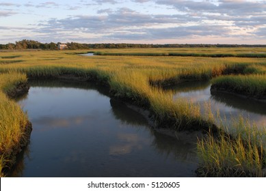 Salt Marsh At Sunset