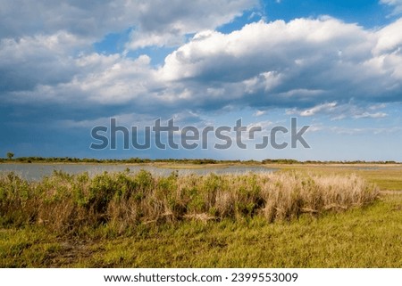 Salt marsh wetlands under blue sky with fluffy clouds and rain in the distance at Assateague Island National Seashore, Maryland