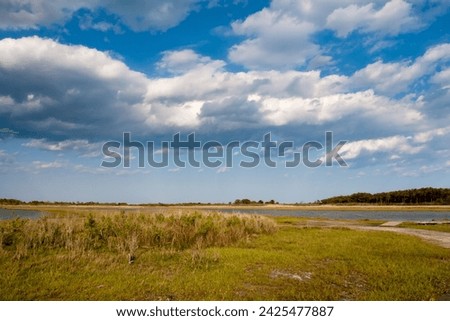 Salt marsh wetlands under blue sky with fluffy clouds at Assateague Island National Seashore, Maryland