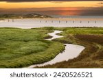 Salt marshes of tidal inlet of The Zwin nature reserve at North Sea coast at sunset, at border between Belgium and the Netherlands