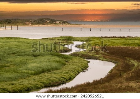 Salt marshes of tidal inlet of The Zwin nature reserve at North Sea coast at sunset, at border between Belgium and the Netherlands