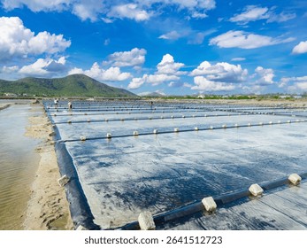 Salt mining fields under blue skies in Vietnam's countryside.