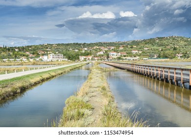 Salt Pans Of Piran - Slovenia