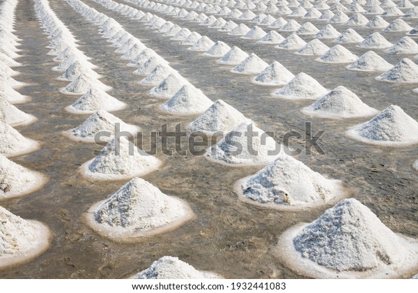 Salt piles on a saline. Sea salt\
is salt that is produced by the evaporation of\
seawater.