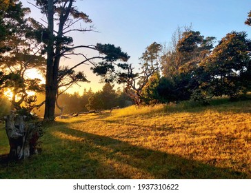 Salt Point State Park, Jenner, United States