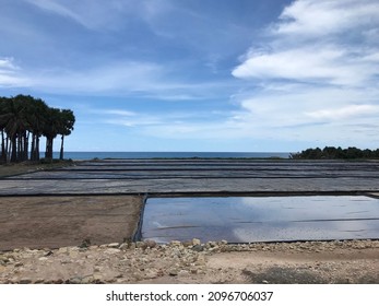 Salt Pond On The Beach Of Sabu Raijua Island