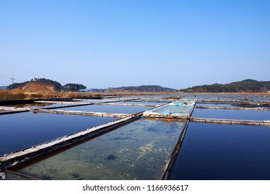 A Salt Pond In The Taean-gun Of Korea