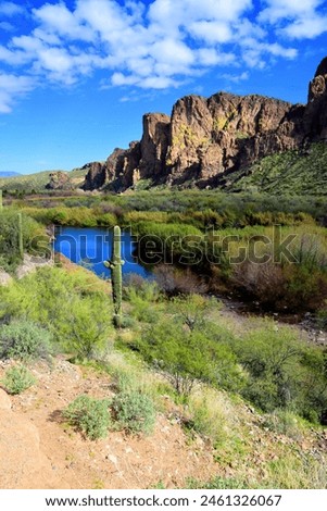 Salt River Arizona recreation area, Desert Mountains, east of Phoenix Arizona