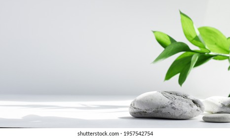 Salt stones and green Leaves of riskus in the sun, with shadows, on a white gray concrete background with copy space. Advertising background concept for cosmetics, fashion, spa. Banner