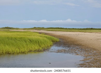 Salt water marsh in Cape cod