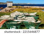 Salted codfish drying curing in Joe Batt