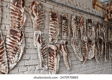 Salted and dried pork bellies and legs hung on hooks in local meat store Ancient Shuhe Town Lijiang Yunna China - Powered by Shutterstock
