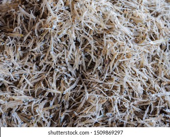 Salted Dried Small Fish Prepare For Sale