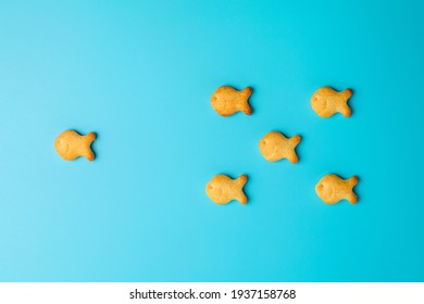 Salted fish cracker abstract creative layout. Flat lay summer food concept, free space for text