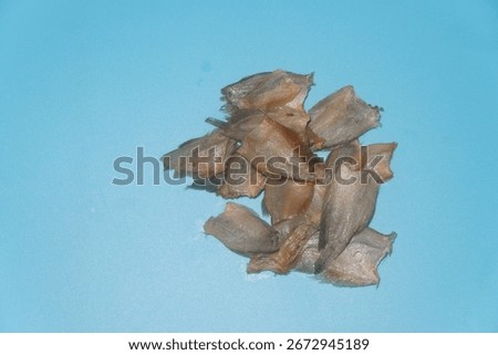 salted fish without head, for cooking