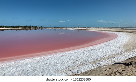 Salted Pink Lake. Mexico, Yucatan