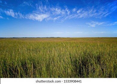 Saltmarsh Along The Delaware Coast In USA In Late Afternoon Sun. Also Known As A Coastal Salt Marsh Or Tidal Marsh It Is Located Between Land And Brackish Water That Is Regularly Flooded By The Tides.