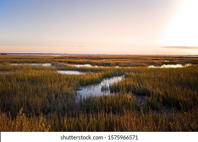 Saltmarsh on the Virginia coast in USA in the golden sun at sunset.  Known as a coastal salt marsh or tidal marsh it is located between land and brackish water that is regularly flooded by the tides.