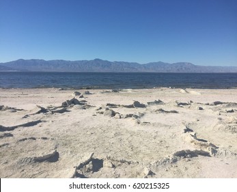 Salton Sea Coastline.