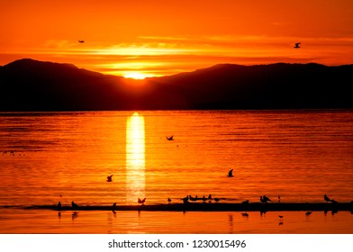 Salton Sea, Imperial Valley, California, USA