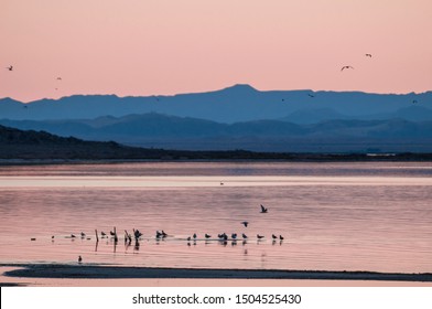 Salton Sea, Imperial Valley, California, USA