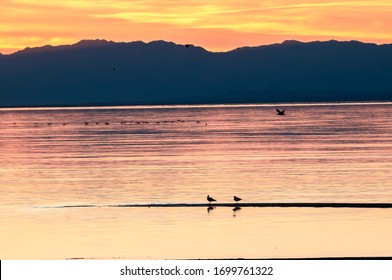 Salton Sea, Imperial Valley, California, USA