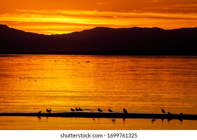 Salton Sea, Imperial Valley, California, USA