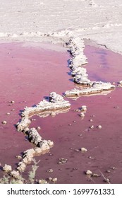 Salton Sea, Imperial Valley, California, USA