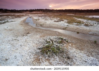 Saltpeter on the floor of a lagoon in a semi desert environment, La Pampa province, Patagonia, Argentina.