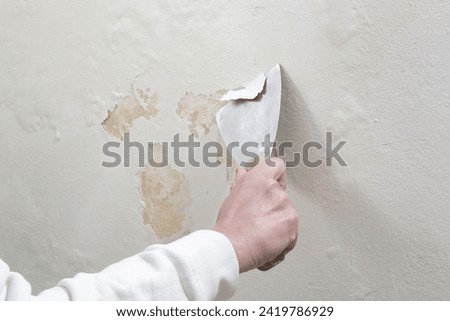 Saltpeter on the wall problem. Woman is using a scraper to scrape and remove all loose paint and plaster that is in poor condition, until a firm surface is achieved. 