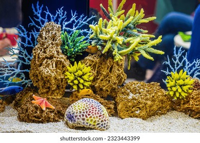 Saltwater dream coral reef aquarium tank. Colorful Tropical Corals, underwater landscape