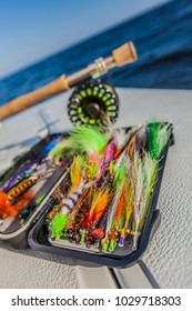 Saltwater Fly Fishing Flies And Fly Rod And Reel.