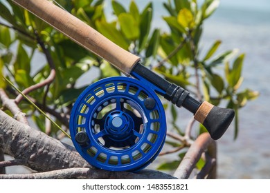 Saltwater Fly Fishing Rod In Mangrove -Caribbean Sea-  Los Roques Venezuela