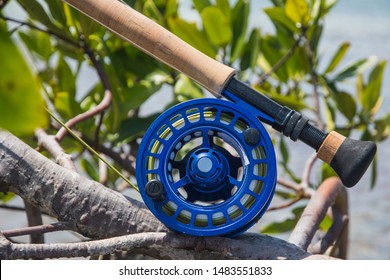 Saltwater Fly Fishing Rod In Mangrove -Caribbean Sea-  Los Roques Venezuela