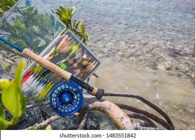 Saltwater Fly Fishing Rod In Mangrove -Caribbean Sea-  Los Roques Venezuela