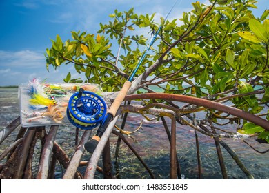 Saltwater Fly Fishing Rod In Mangrove -Caribbean Sea-  Los Roques Venezuela