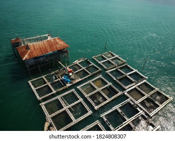 Saltwater Grouper Aquaculture Nursery In The Circulation Cultivation System In Square Sea Level Boxes Is A Rural Lifestyle For Coastal Communities. Bintan Island, Indonesia