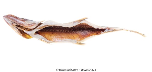 Salty fish pike on a white background.