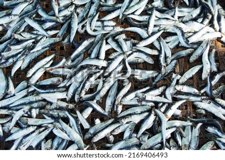 Similar – Image, Stock Photo ANCHOA CLUSTER Chrome