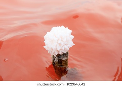 Salty Lake Pink Water Beach Salt Stock Photo 1023643042 | Shutterstock