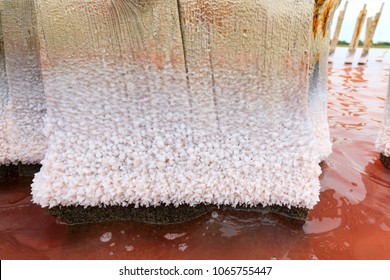 Salty Lake Pink Water Beach Salt Stock Photo 1065755447 | Shutterstock