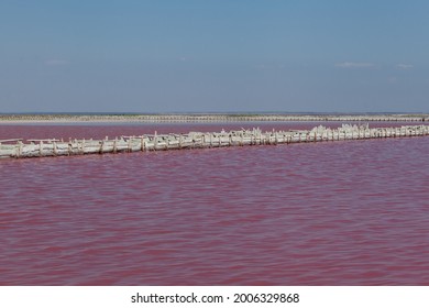 Salty Pink Lake. The Unique Color Of The Lake Is Given By Halophile Microalgae Dunaliella Salina.